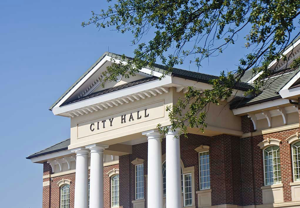 City Hall building with columns and a tree branch.