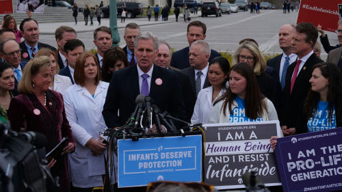 A large group gathered at a pro-life rally.