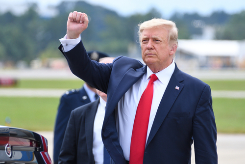 A political figure raising a fist in a gesture of confidence during an outdoor event