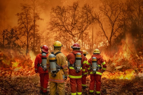 Firefighters battling a forest fire.